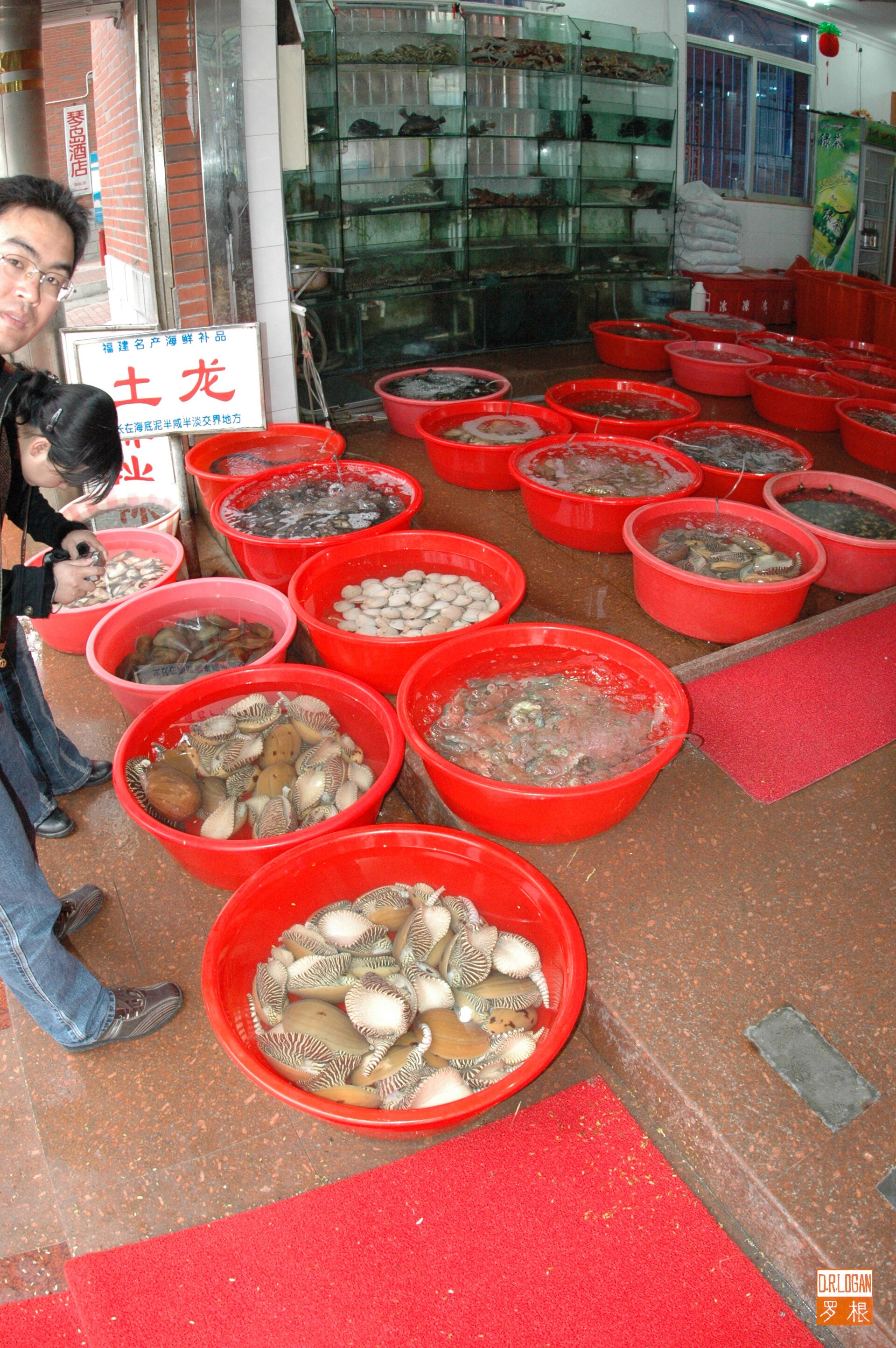 鼓浪屿海鲜摊位