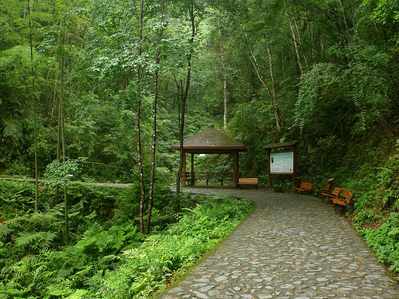 牛姆林自然保护区实景